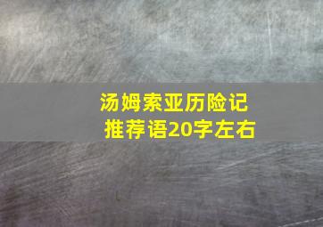 汤姆索亚历险记推荐语20字左右