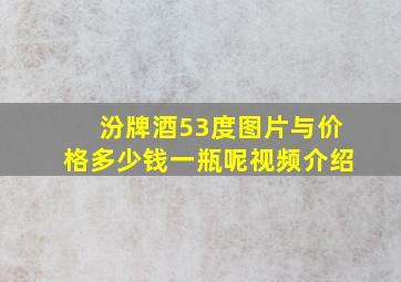 汾牌酒53度图片与价格多少钱一瓶呢视频介绍