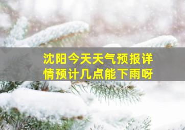 沈阳今天天气预报详情预计几点能下雨呀