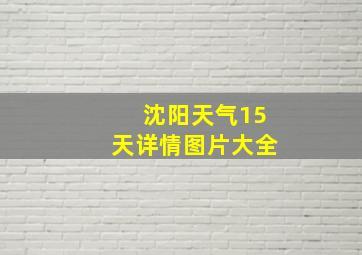 沈阳天气15天详情图片大全