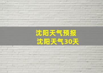 沈阳天气预报沈阳天气30天