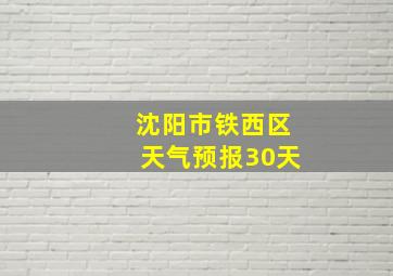 沈阳市铁西区天气预报30天