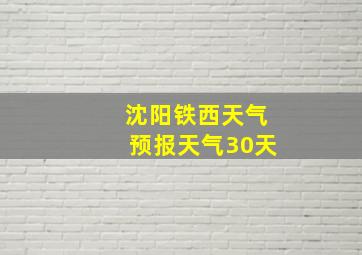 沈阳铁西天气预报天气30天