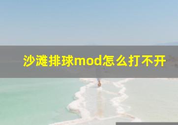 沙滩排球mod怎么打不开