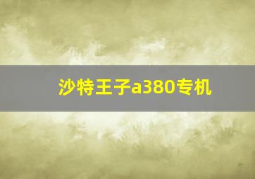 沙特王子a380专机