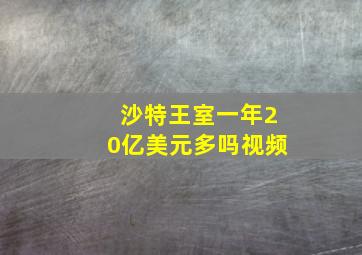 沙特王室一年20亿美元多吗视频