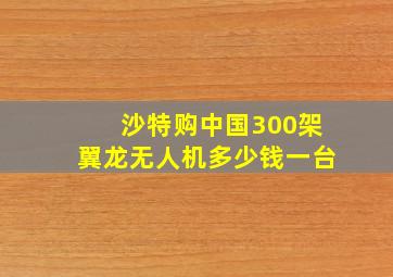 沙特购中国300架翼龙无人机多少钱一台