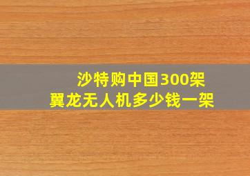 沙特购中国300架翼龙无人机多少钱一架