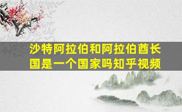 沙特阿拉伯和阿拉伯酋长国是一个国家吗知乎视频