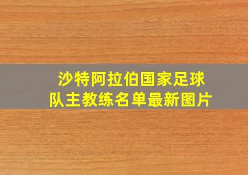 沙特阿拉伯国家足球队主教练名单最新图片