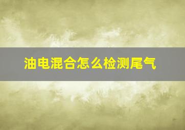 油电混合怎么检测尾气