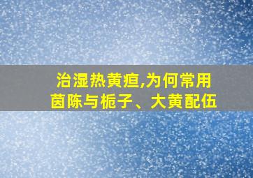 治湿热黄疸,为何常用茵陈与栀子、大黄配伍