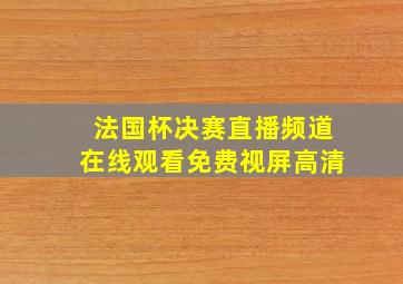 法国杯决赛直播频道在线观看免费视屏高清