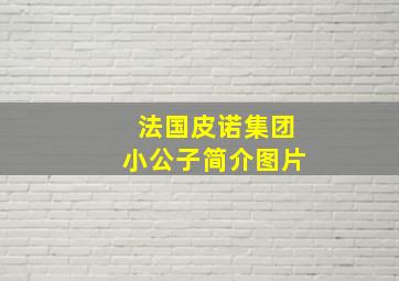 法国皮诺集团小公子简介图片