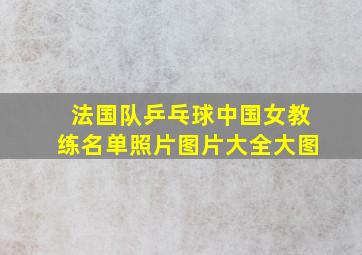 法国队乒乓球中国女教练名单照片图片大全大图