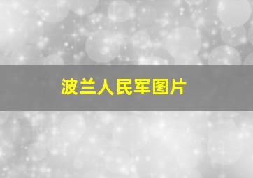 波兰人民军图片