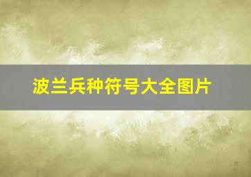 波兰兵种符号大全图片