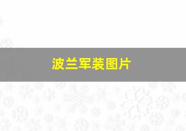 波兰军装图片