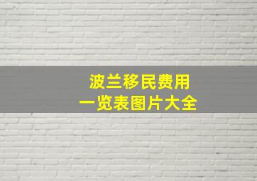 波兰移民费用一览表图片大全