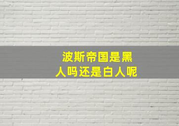 波斯帝国是黑人吗还是白人呢