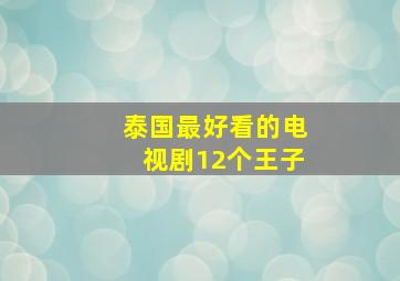 泰国最好看的电视剧12个王子