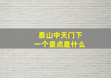 泰山中天门下一个景点是什么