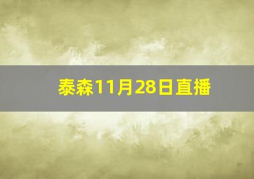 泰森11月28日直播