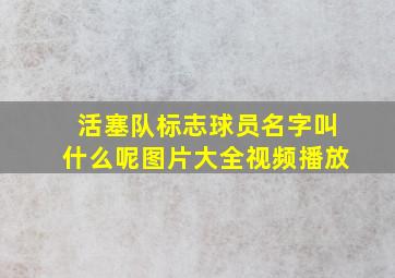 活塞队标志球员名字叫什么呢图片大全视频播放