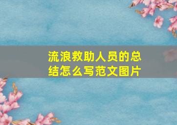 流浪救助人员的总结怎么写范文图片