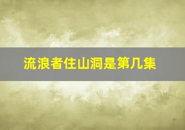 流浪者住山洞是第几集