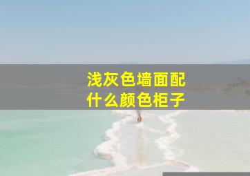 浅灰色墙面配什么颜色柜子