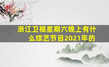 浙江卫视星期六晚上有什么综艺节目2021年的