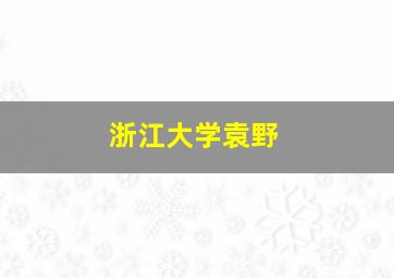 浙江大学袁野