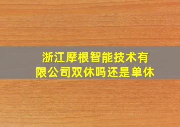 浙江摩根智能技术有限公司双休吗还是单休