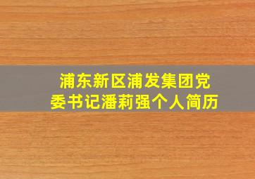 浦东新区浦发集团党委书记潘莉强个人简历