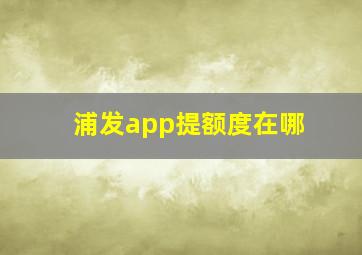 浦发app提额度在哪