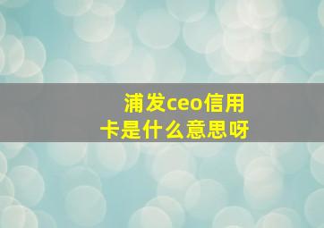 浦发ceo信用卡是什么意思呀