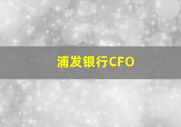 浦发银行CFO