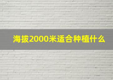 海拔2000米适合种植什么