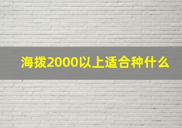 海拨2000以上适合种什么