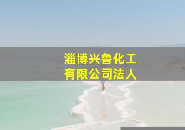 淄博兴鲁化工有限公司法人