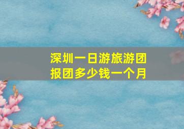 深圳一日游旅游团报团多少钱一个月