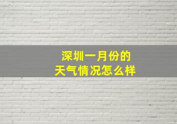 深圳一月份的天气情况怎么样