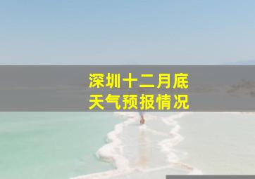 深圳十二月底天气预报情况