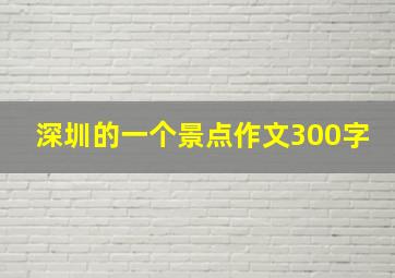 深圳的一个景点作文300字