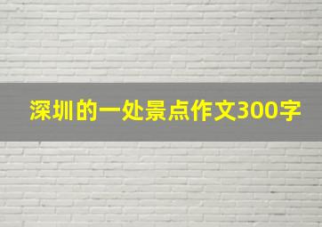 深圳的一处景点作文300字