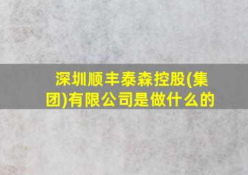 深圳顺丰泰森控股(集团)有限公司是做什么的