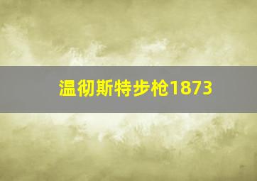 温彻斯特步枪1873