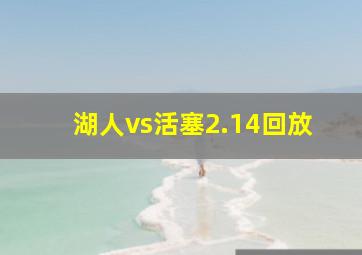 湖人vs活塞2.14回放