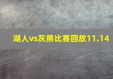 湖人vs灰熊比赛回放11.14